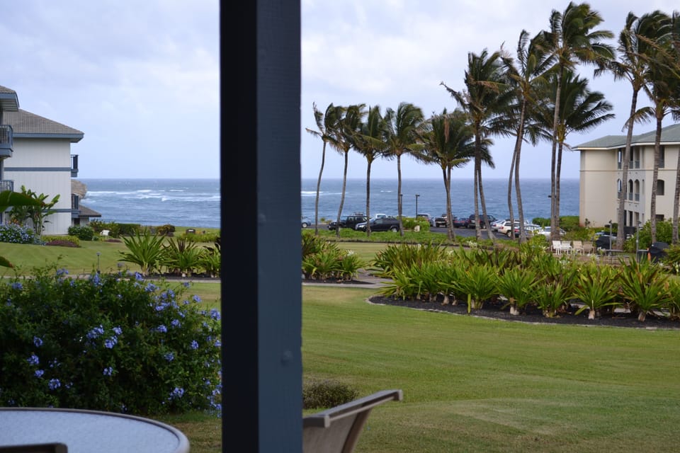 View from Master Bedroom