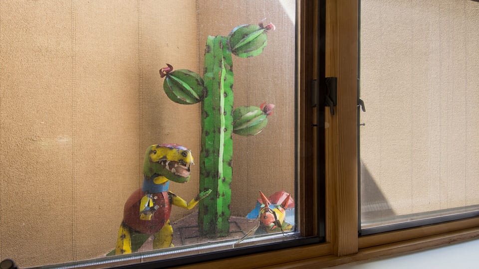Bison's "cactus garden" with miniature desert critters brings in natural light
