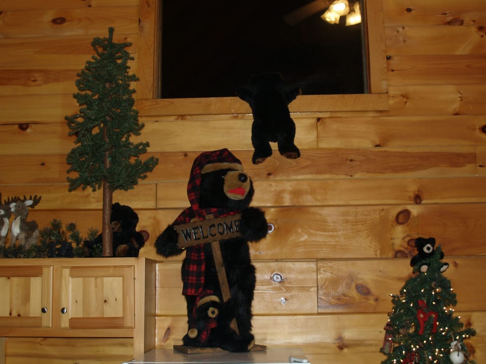 Welcome to Christmas in the Smoky Mountains Nov 2013