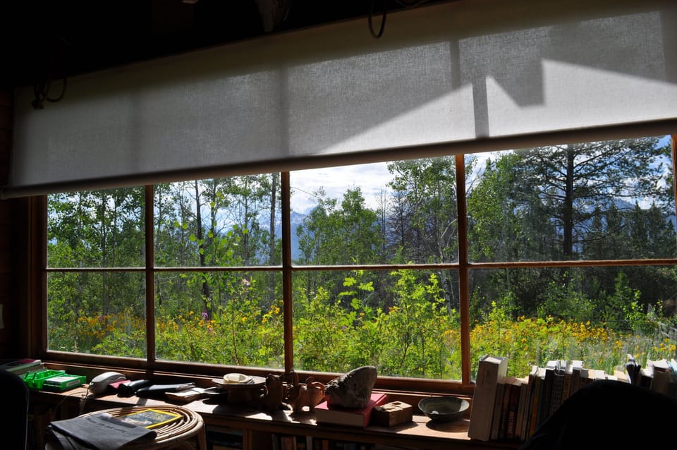 Living room front window and book shelf