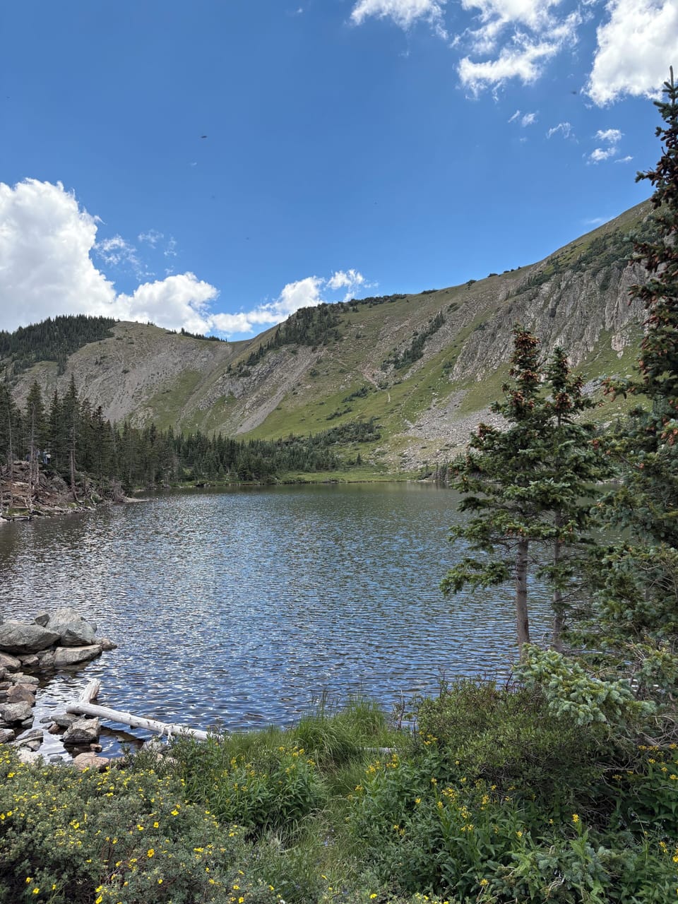 Goose lake
