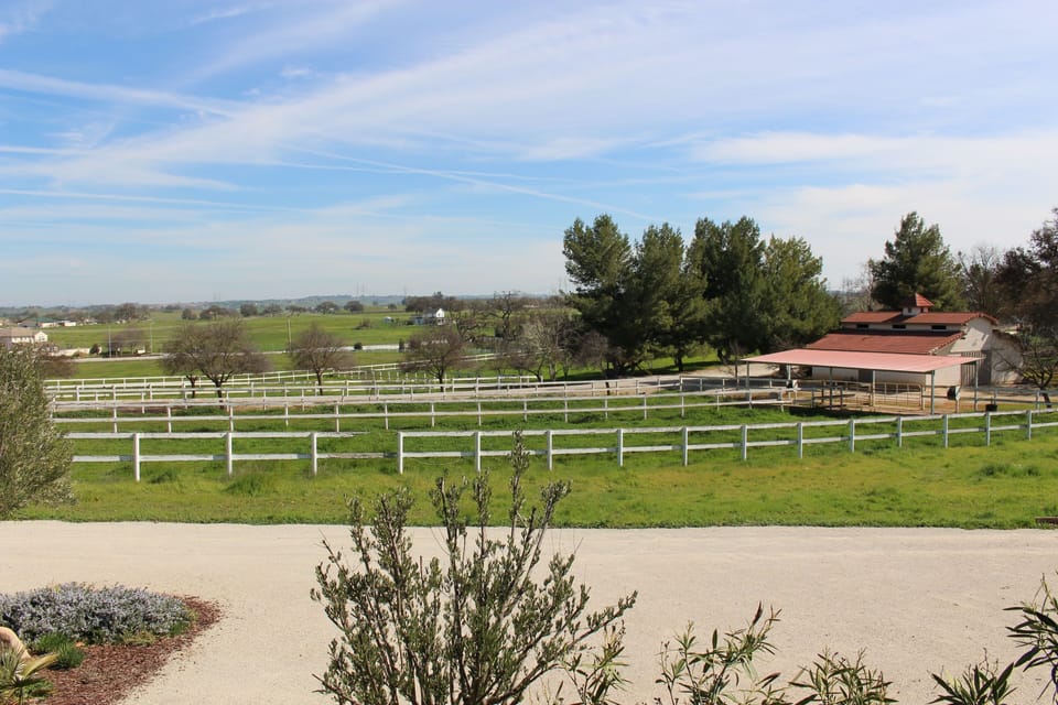 Horse boarding available next door, in full view of both decks and parking area