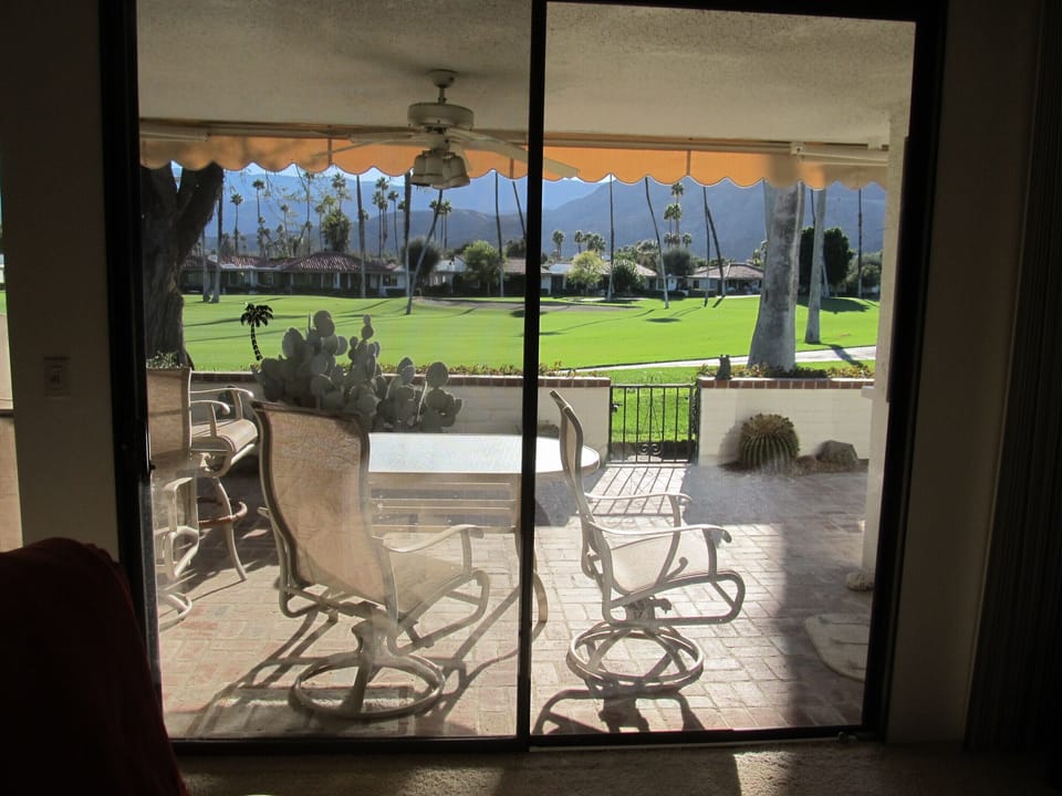 View from the living room in the afternoon.
