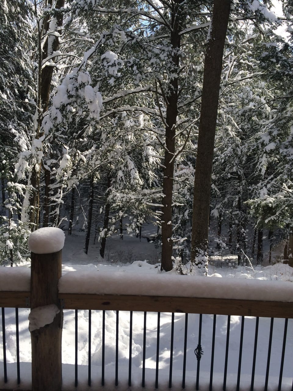 Winter view