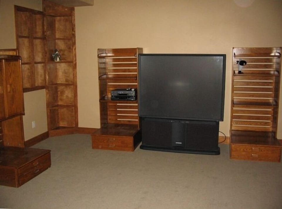 Basement rec room / trundle bed/proj TV