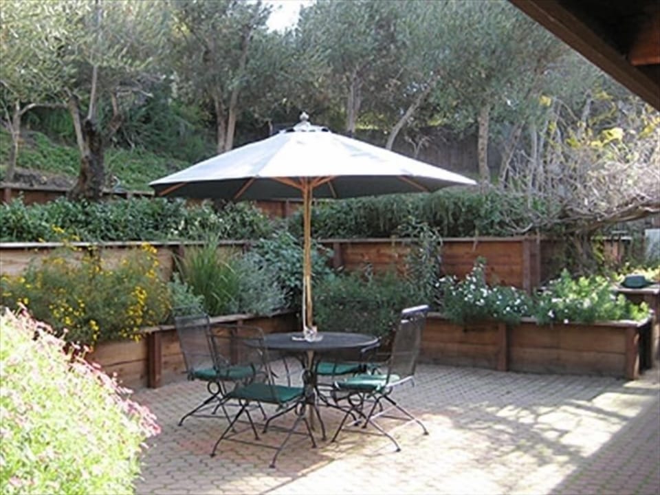 Back patio includes BBQ and terraced gardens