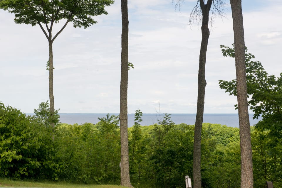 This is the view from the porch.