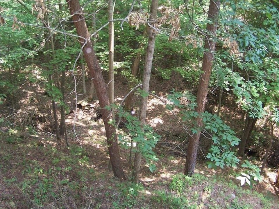 Springtime at Bear Creek Lodge!