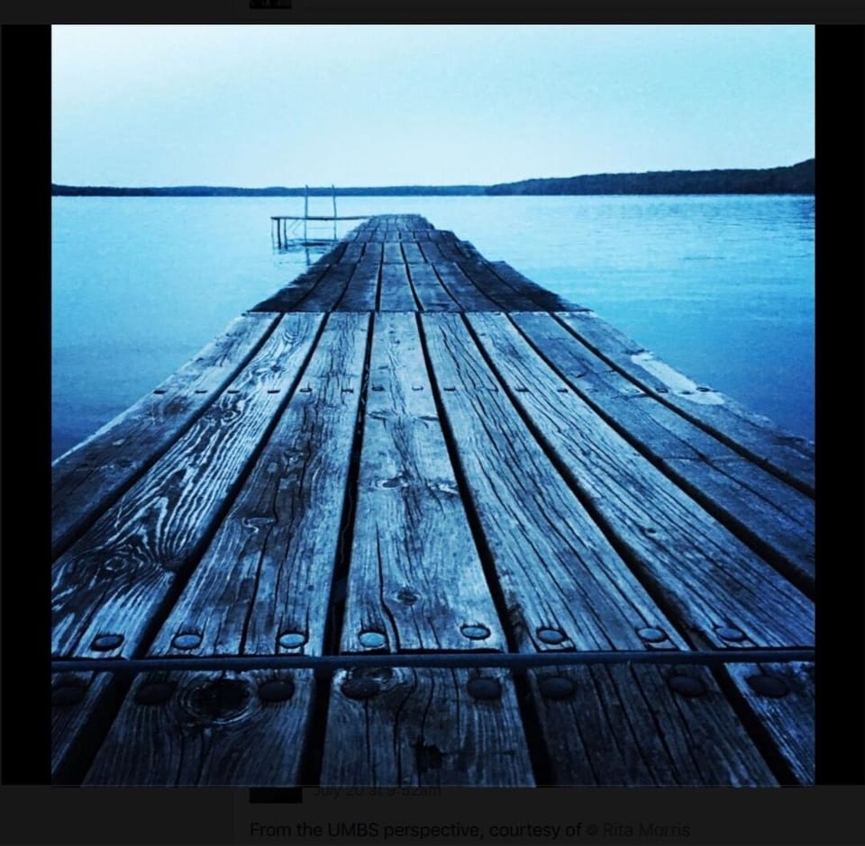 Douglas Lake is picturesque 