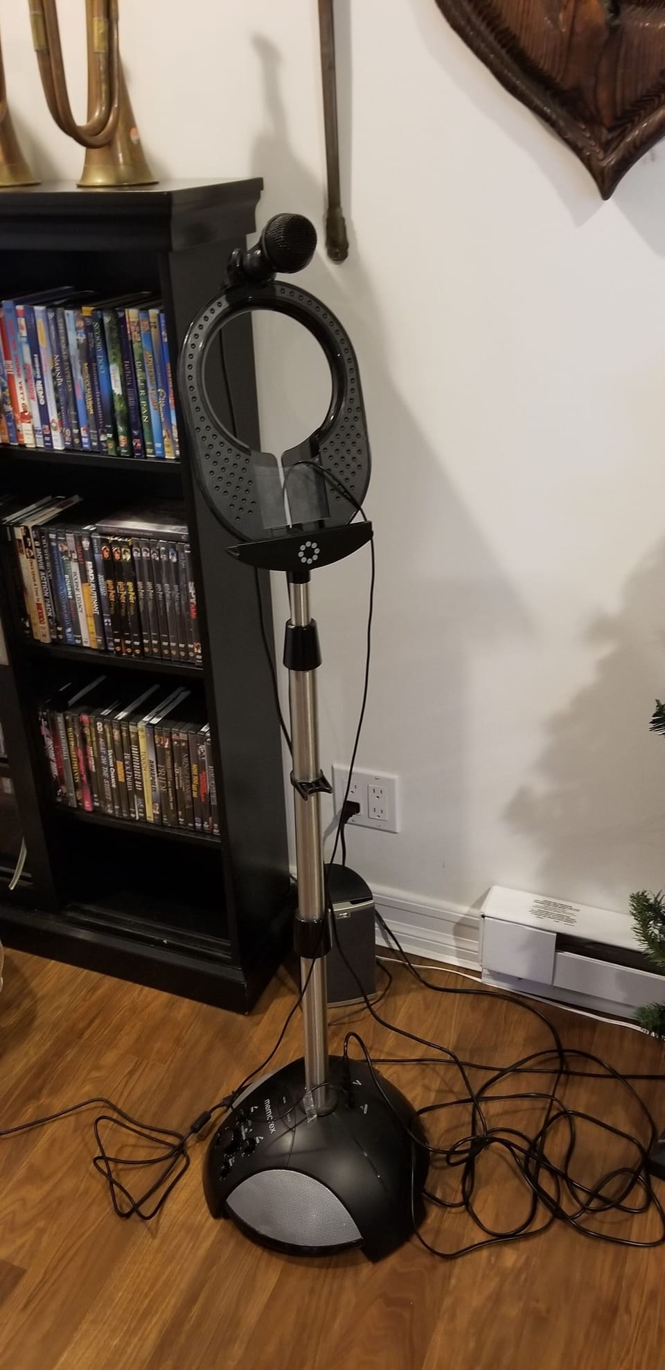 ENTERTAINMENT room- karaoke with microphone (connected by bluetooth)