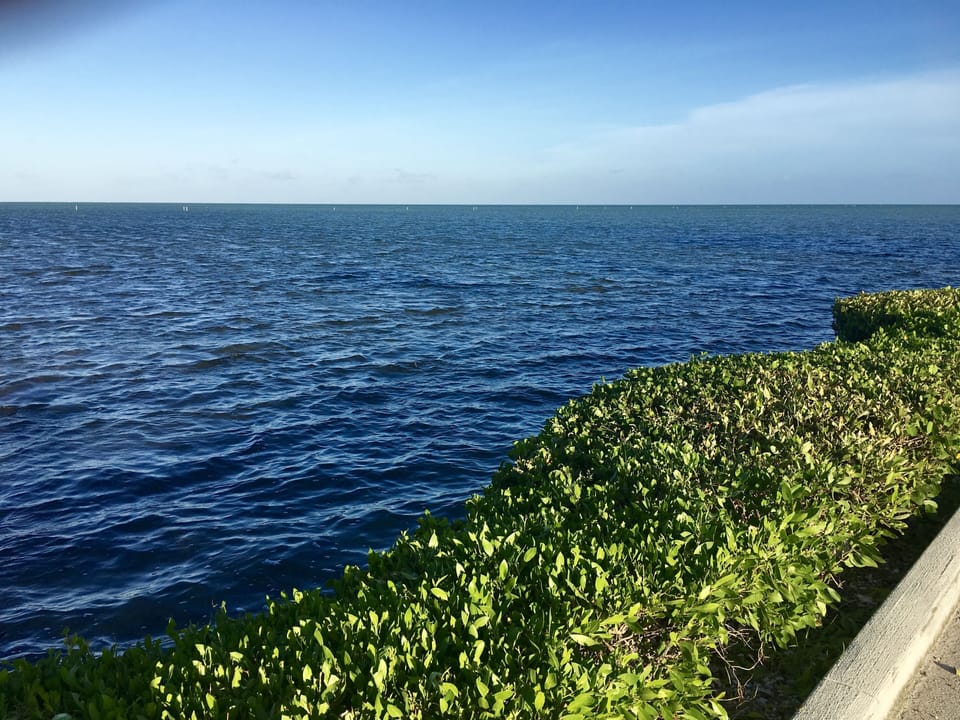 Another great view of the Atlantic!