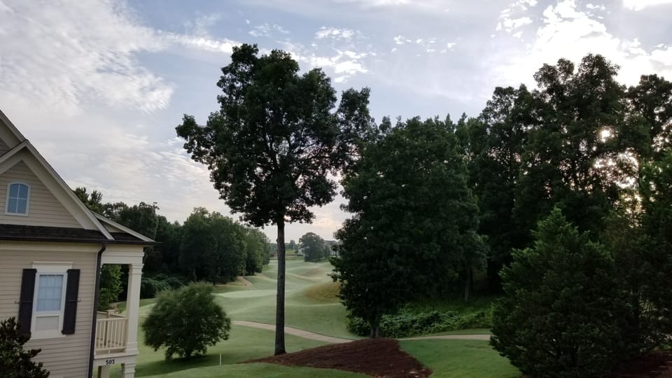 View from Balcony (summer)