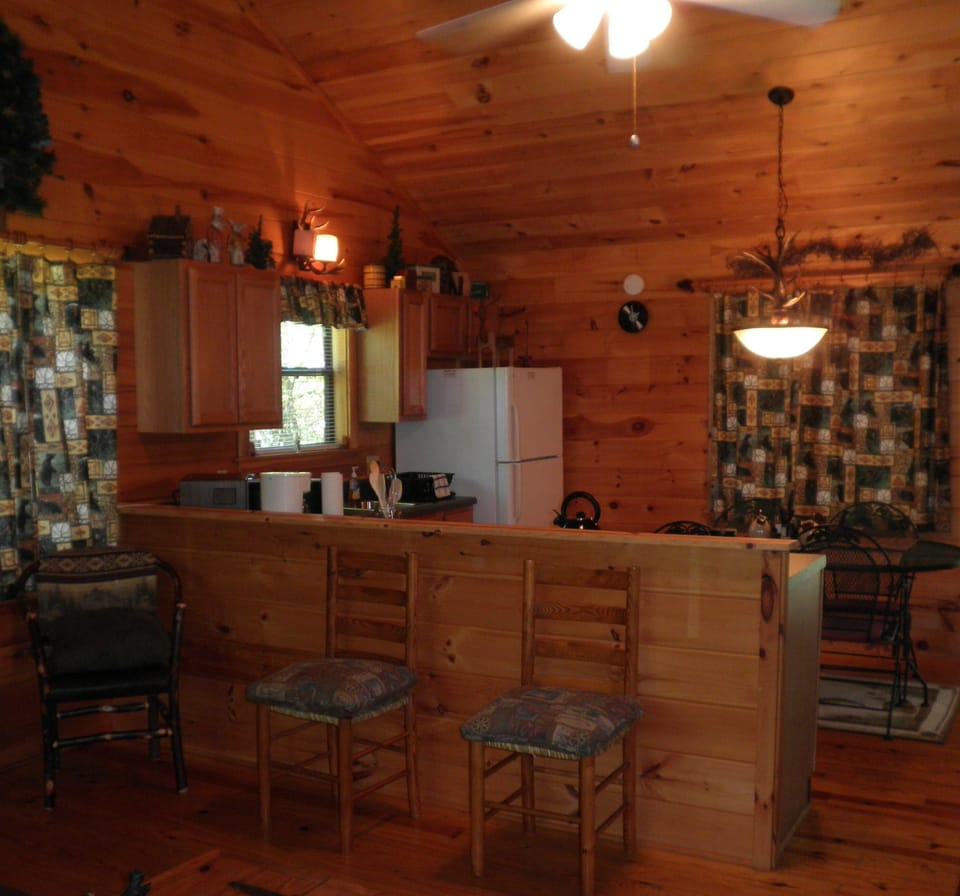 Kitchen and dining area
