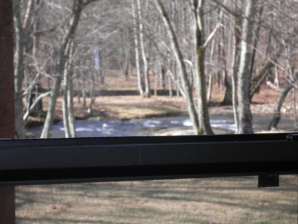 View of the Nottely River from window seat in cabin.