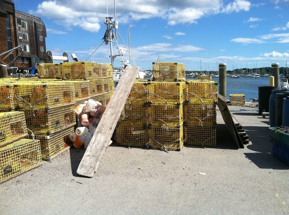 Lobster traps