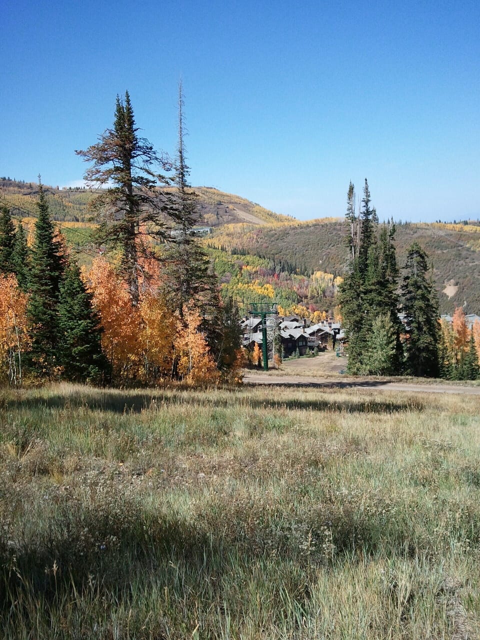 Nice Fall Day.