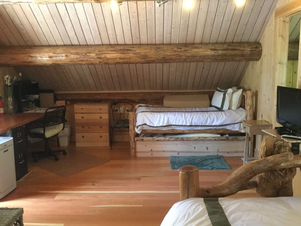 Trundle bed for kids