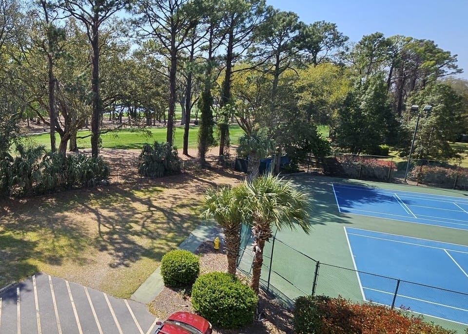 See palmetto dune golfers and what tennis player wile sipping on a cold beverage