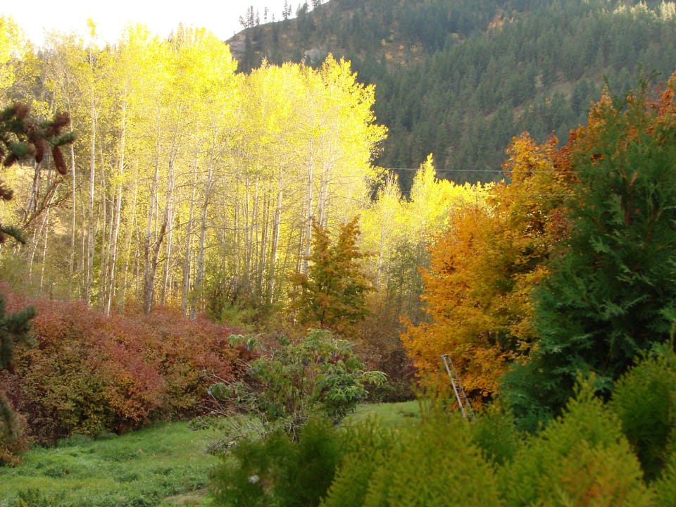 Fall is a stunning time of year to visit, besides Oktoberfest in Leavenworth