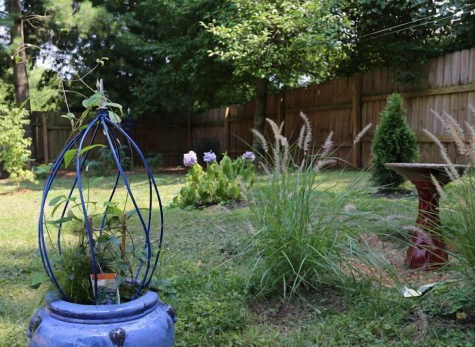 Back yard is spacious and private.  Grill and dine outside on patio!