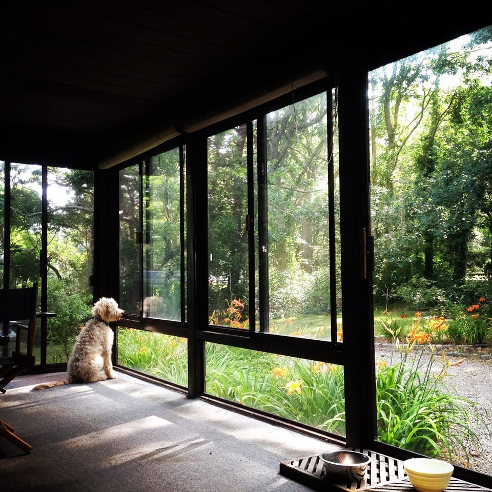 Enclosed porch and patio - our sweet Golden Doodle spends most of his time here!