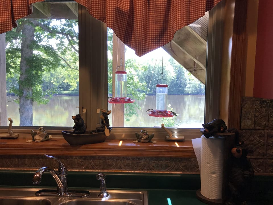 lots of hummingbirds right out the kitchen window 