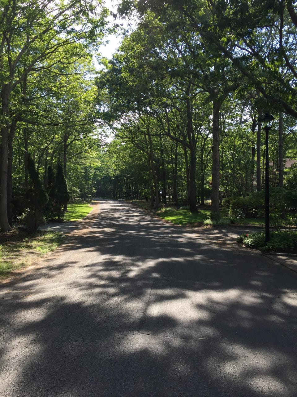 tree lined street to town and beach is great for biking!