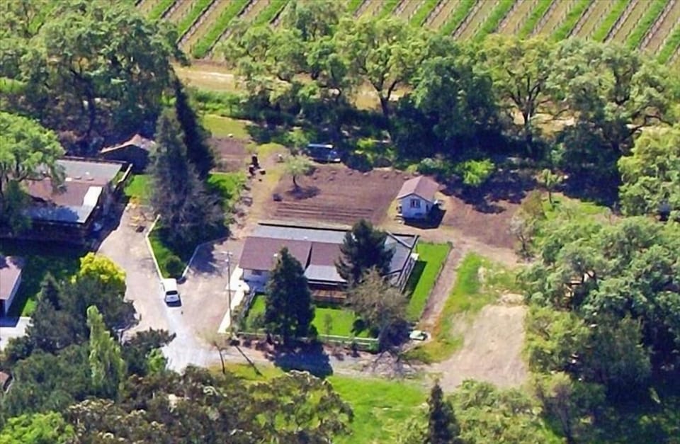 Aerial view of the Daisy's Place