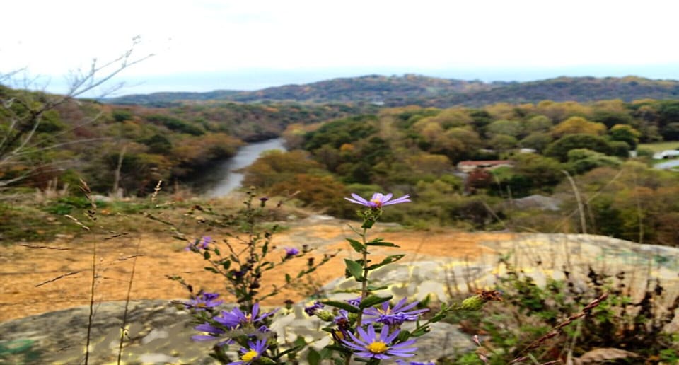 A view from atop the cliff that is behind the cabin