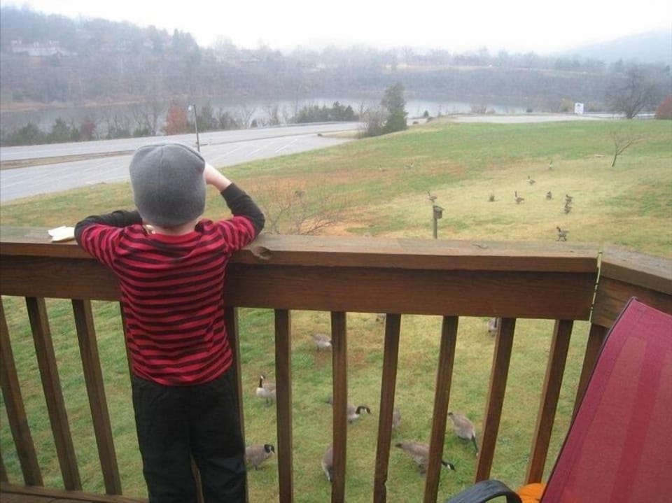 Feeding the Geese!