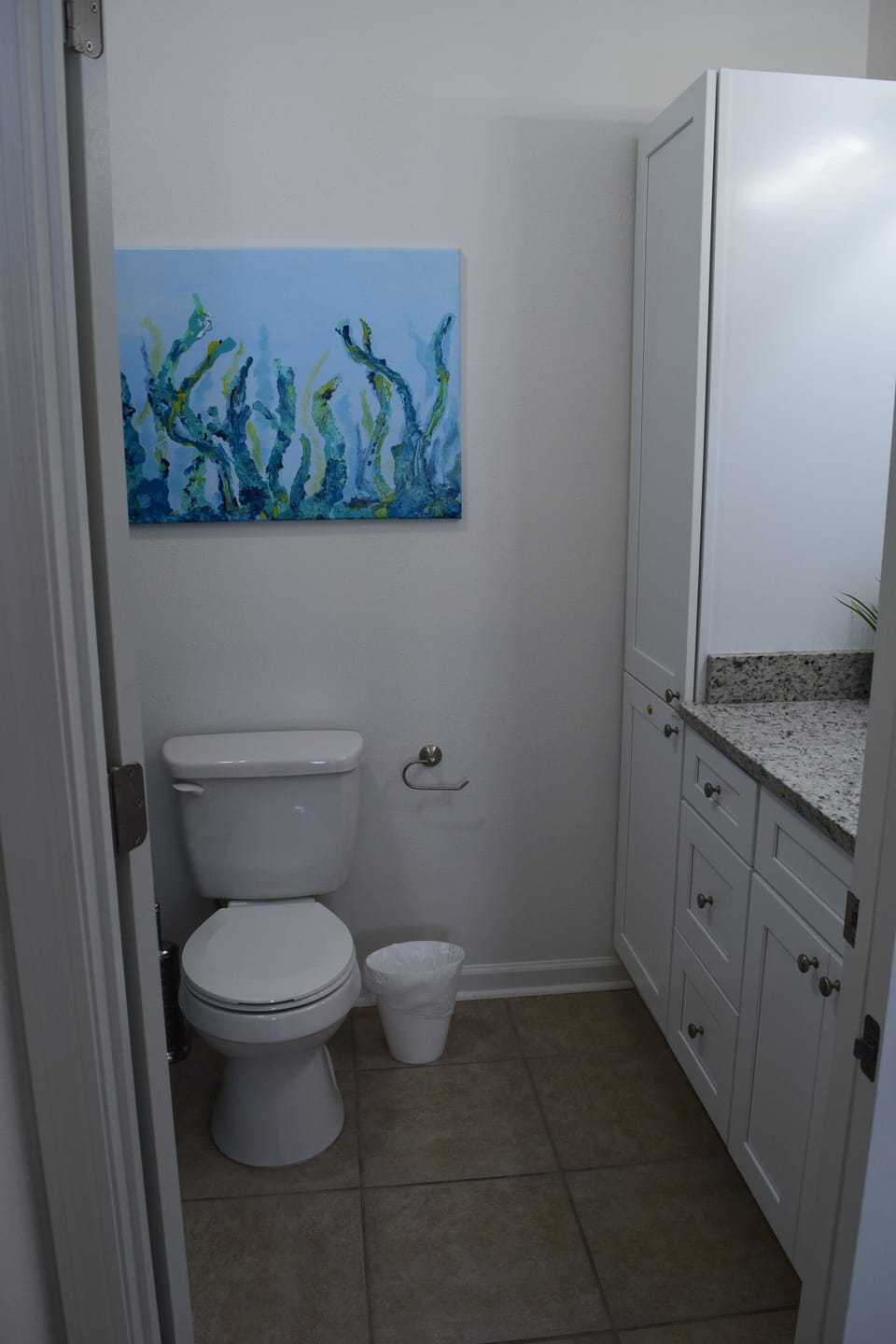 Guest bathroom.