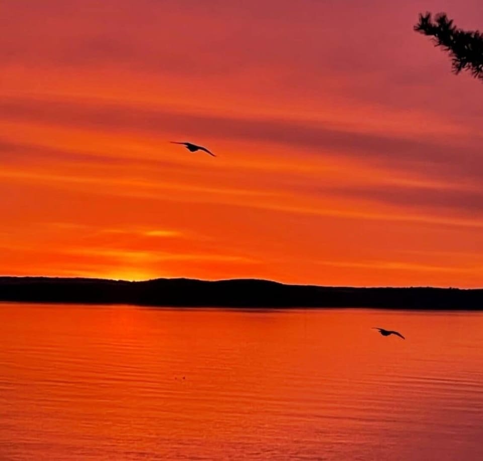 Early bird catches ... the still of the morning and exquisite sunrises.