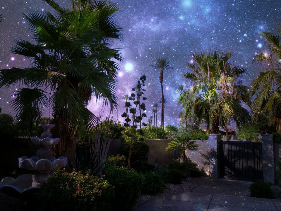 Your dream vacation awaits you...