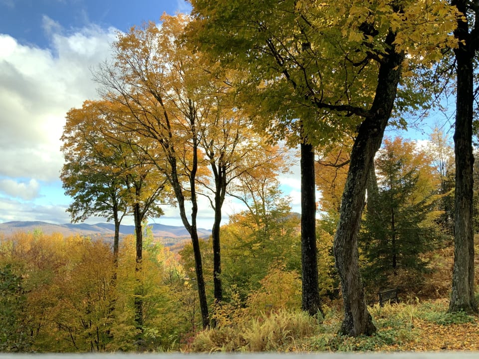 View from property