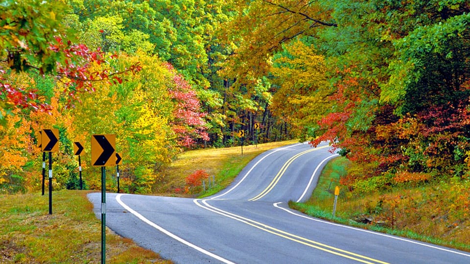 Fall in the Ozarks
