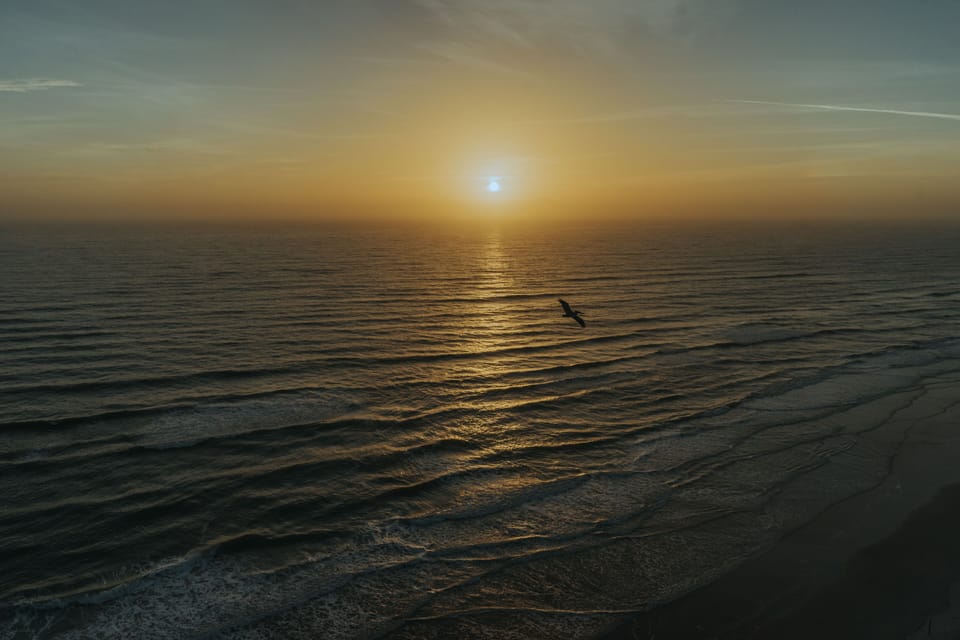 This is Living at the Beach