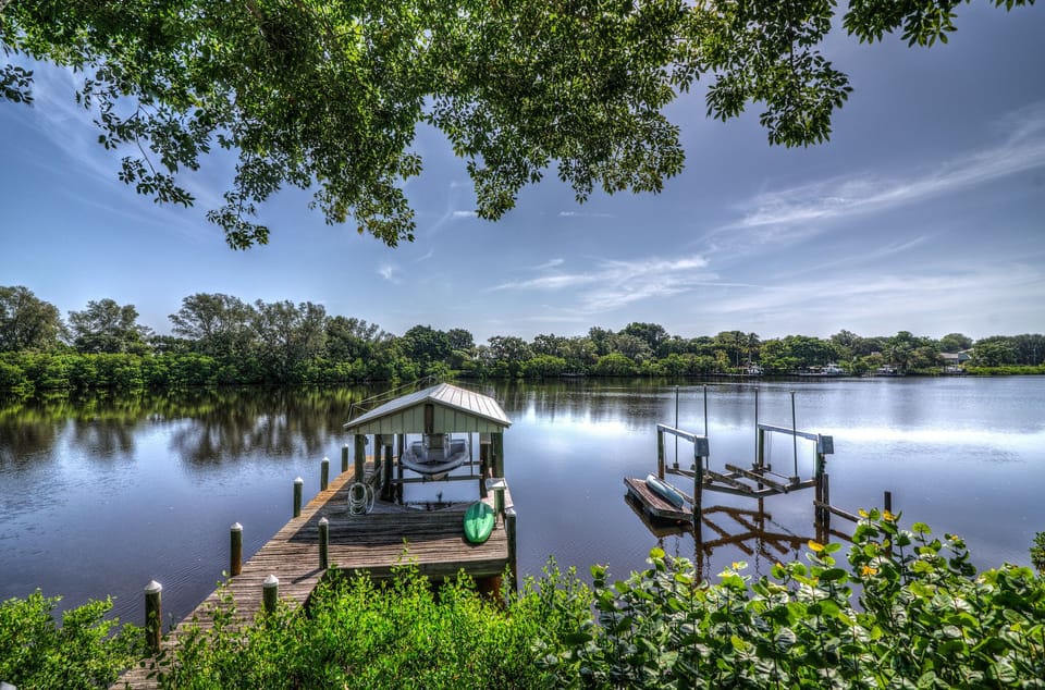 DOLPHINS, MANATEES, OSPREY, BALD EAGLES, HAWKS, KINGFISHERS, GREAT BLUE HERON