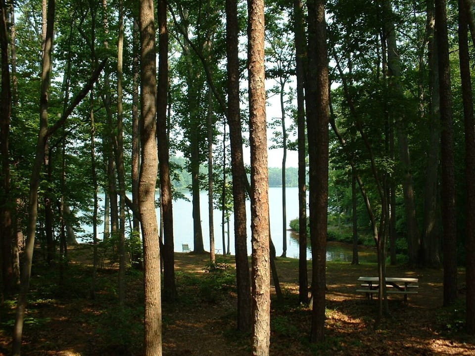 view of lake from screened porch