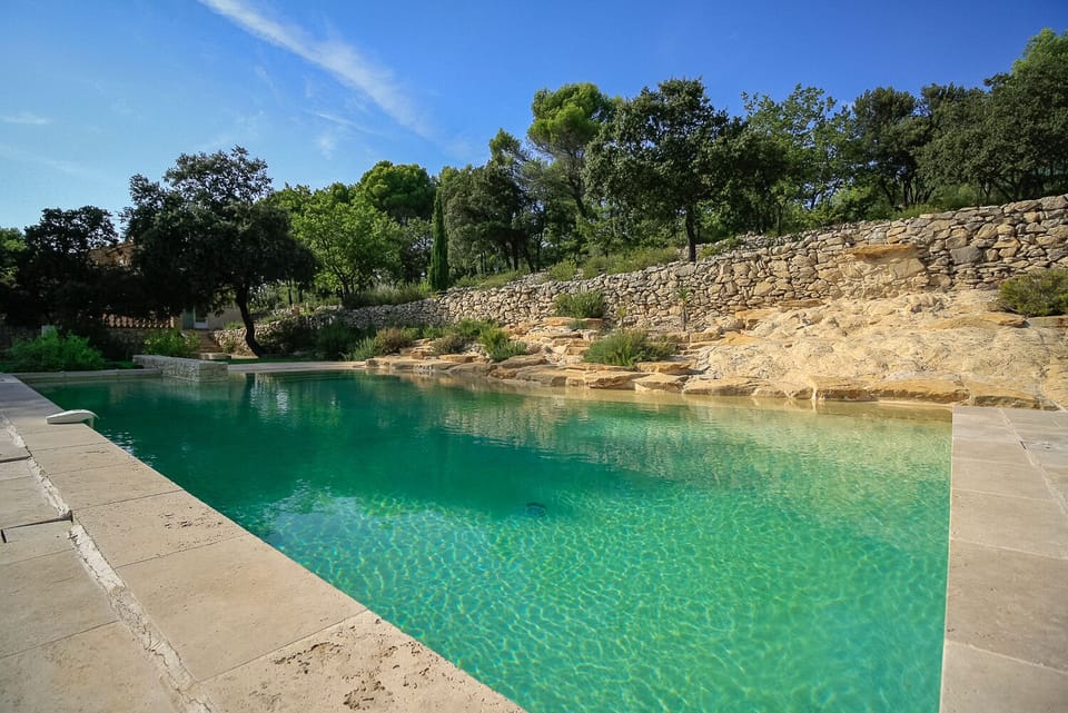 Natural pool