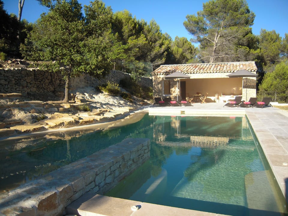 Naturally purified pool with jacuzzi