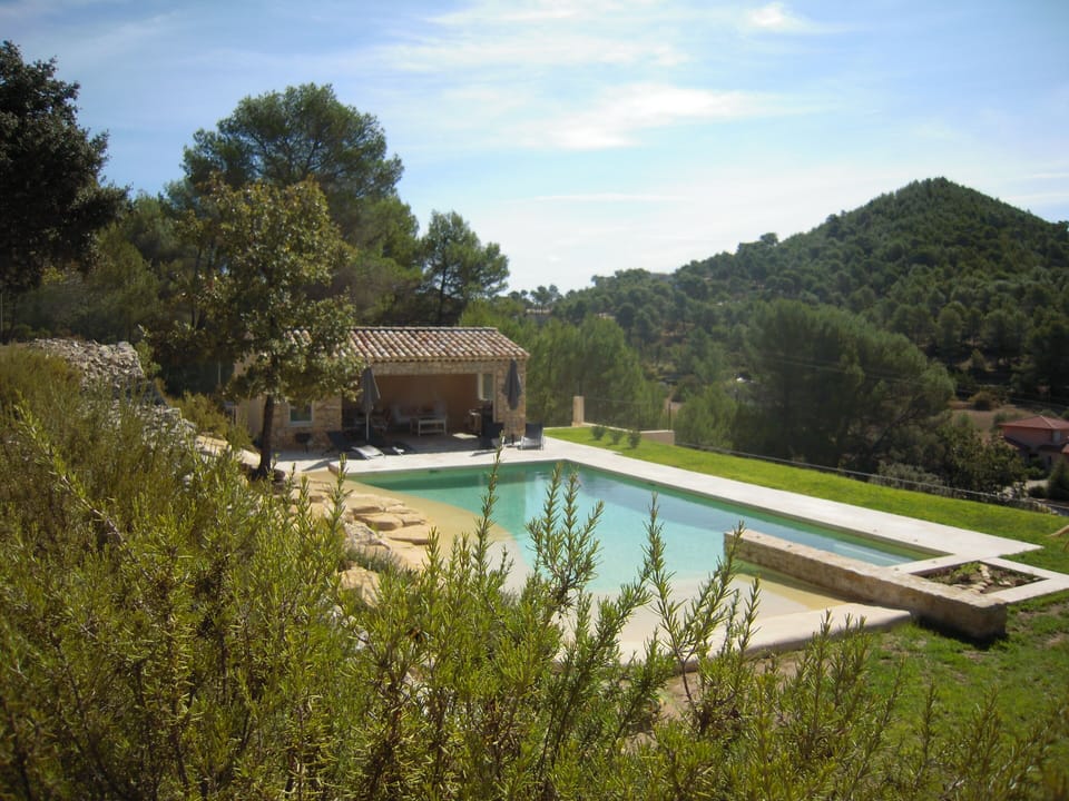 Pool and pool house with BBQ