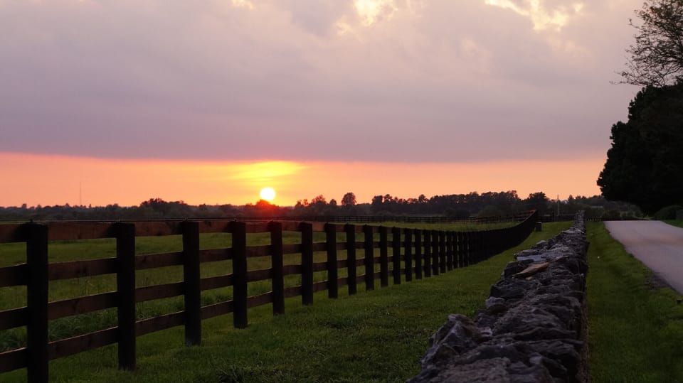 Stone & horse farm plank fences along road to Saddlestone Cottage