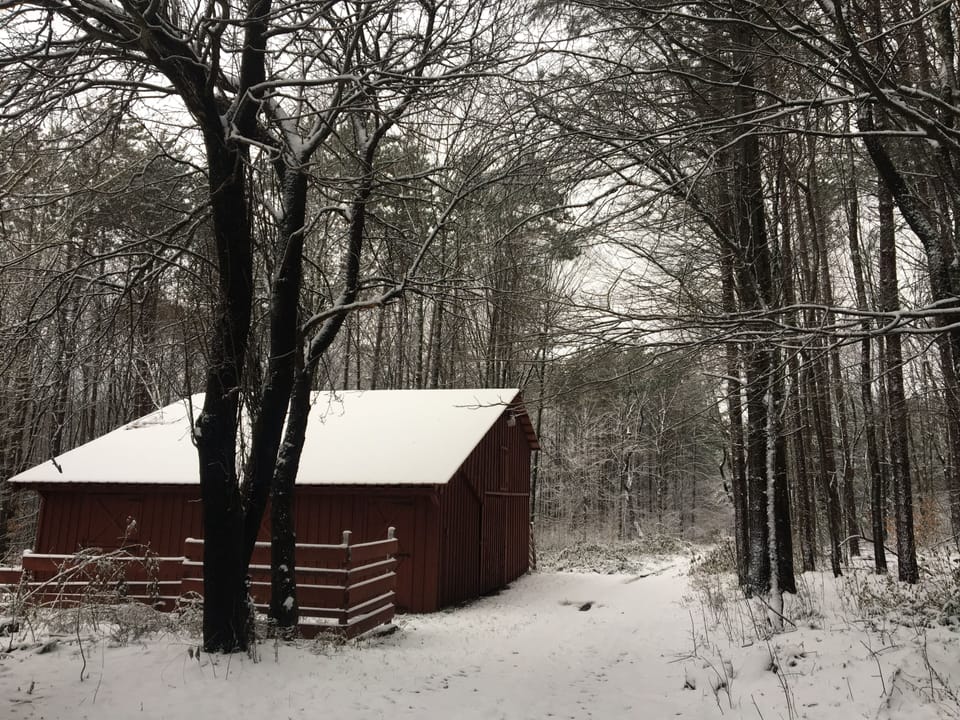 Our barn in the winter time with trail perfect for snow shoeing or XC skiing