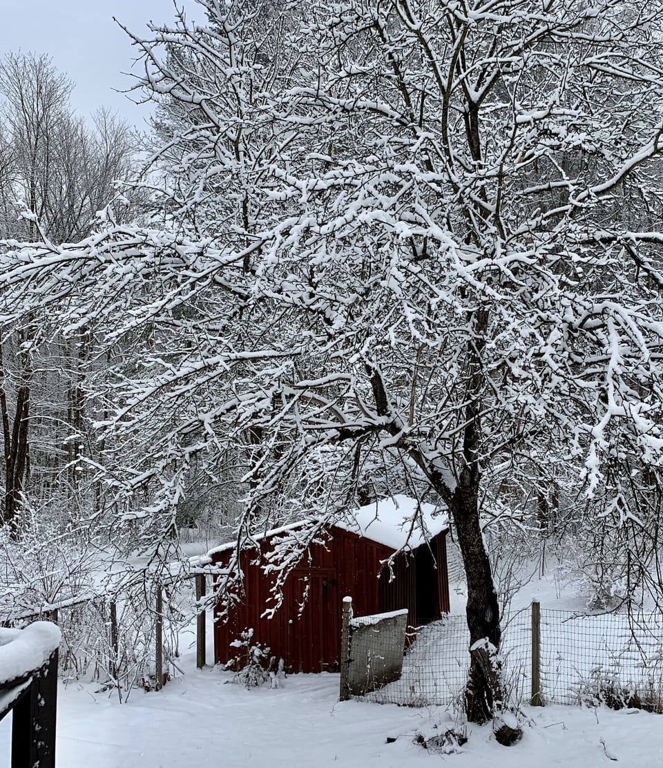 Winter quiet on our property