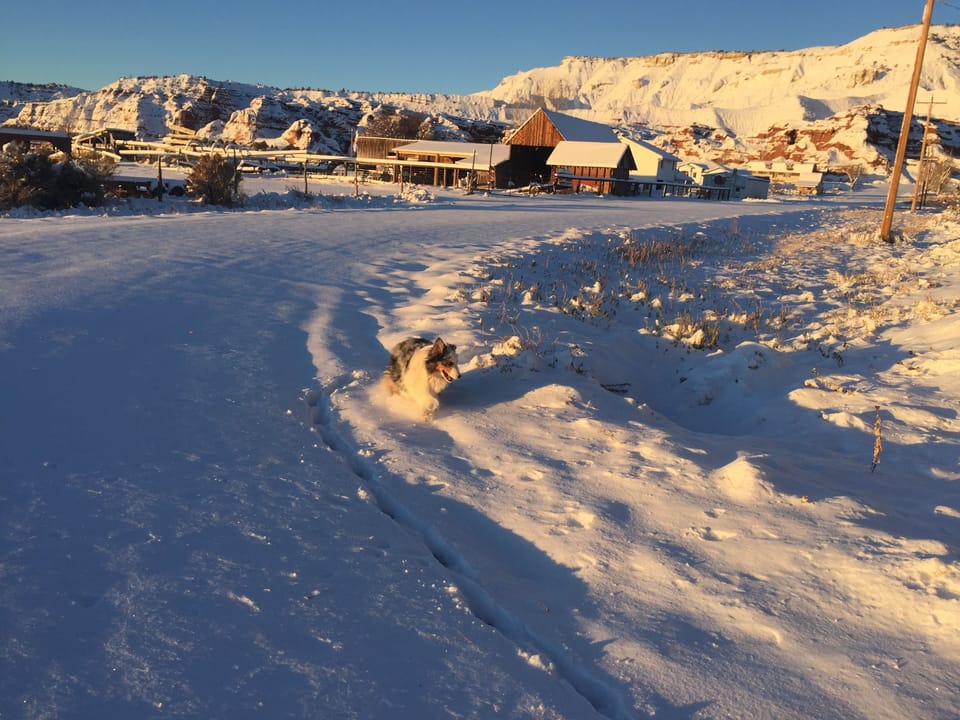 Snow and ski sports