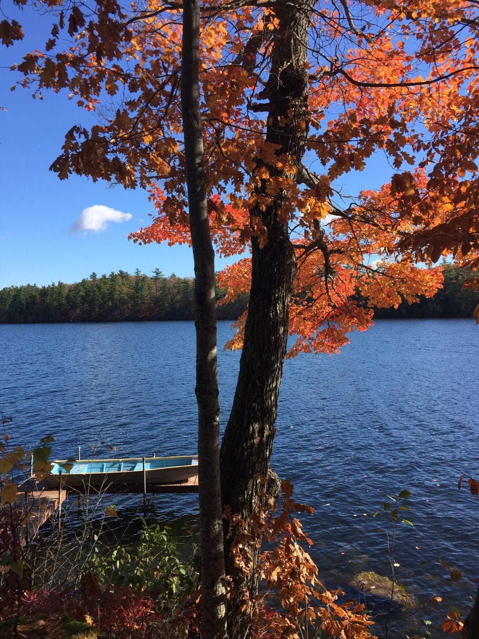 Lake