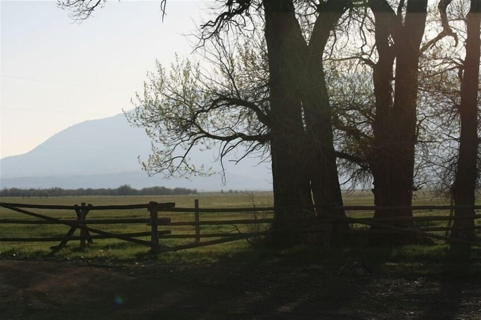 Looking out of the cabin toward the east. Sheep Mountain Range.