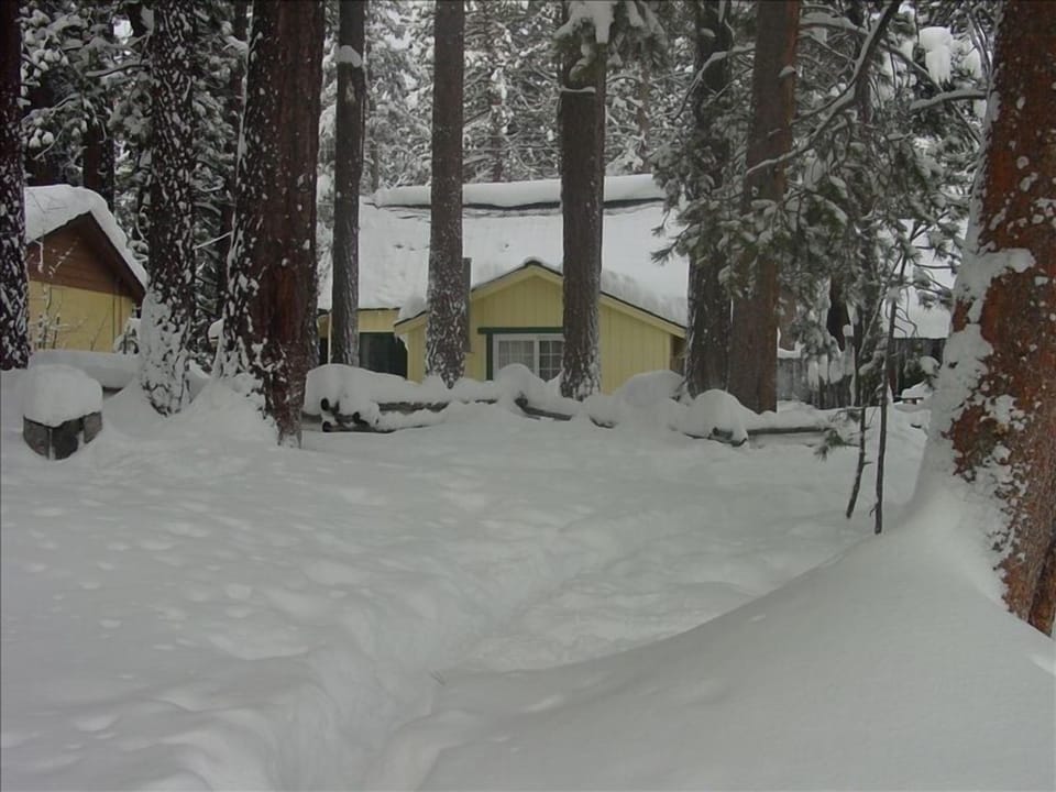 View of the back of the cabin in the snow from the meadow