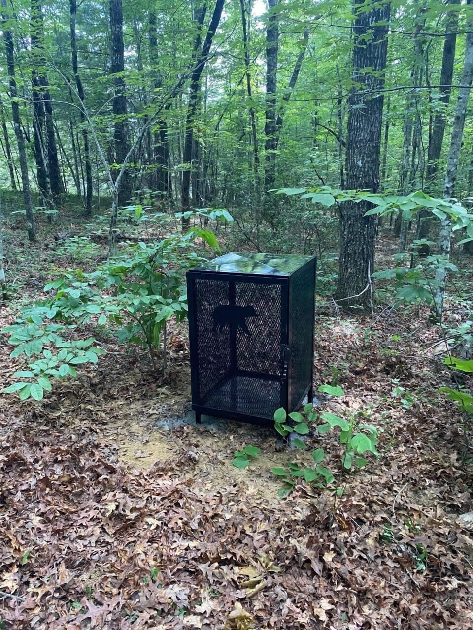 A new for 2021 is a bear proof garbage cage at the end of the parking pull out