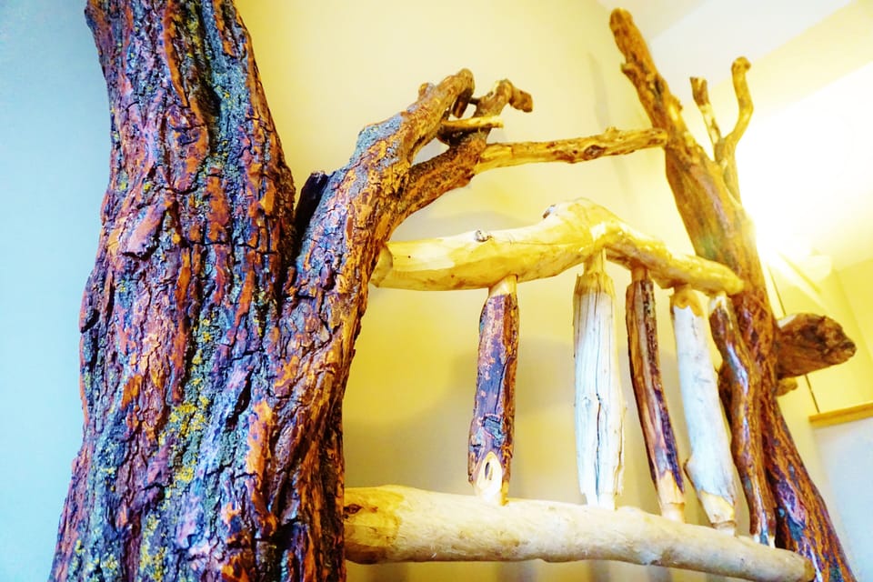 CONDO #2: Loft bedroom w/ stunning diamond willow log bed and driftwood accents